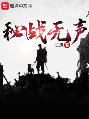 秘战无声小说完整版