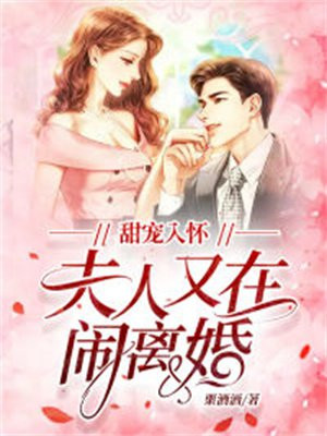 甜宠入怀，夫人又在闹离婚