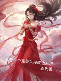 我有一个完美女神改造系统