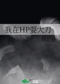 我在HP耍大刀