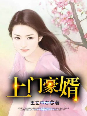 上门豪婿全文免费阅读