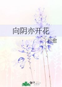 向阴亦开花