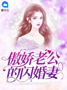 傲娇老公的闪婚妻