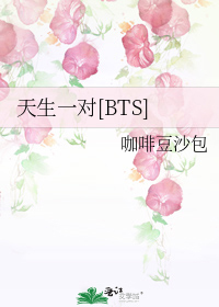 天生一对BTS