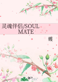 灵魂伴侣/SOUL MATE